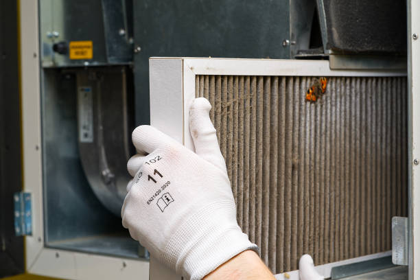 Best Ductwork Cleaning Services  in Salem, MA