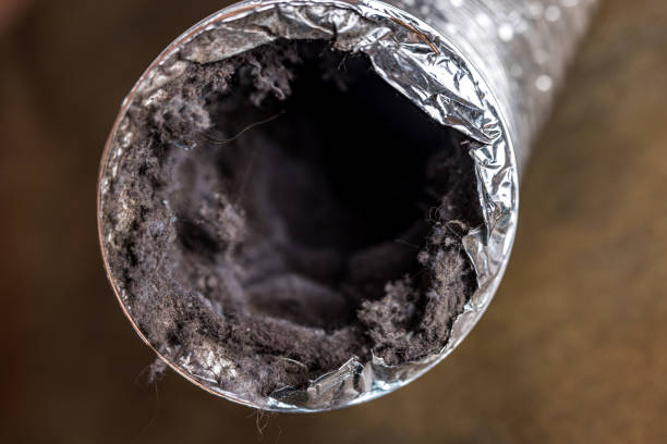 Best Air Duct Cleaning Near Me  in Salem, MA
